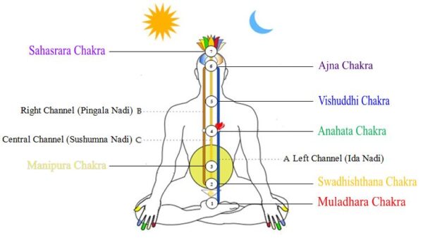 Knowledge of Self - Chakras and Nadis - The Yoga Place